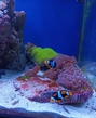 seeaquarium-03.jpg