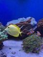 seeaquarium-04.jpg